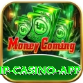 pak555 VIP Casino App