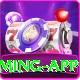 pk999 Mega Gaming App